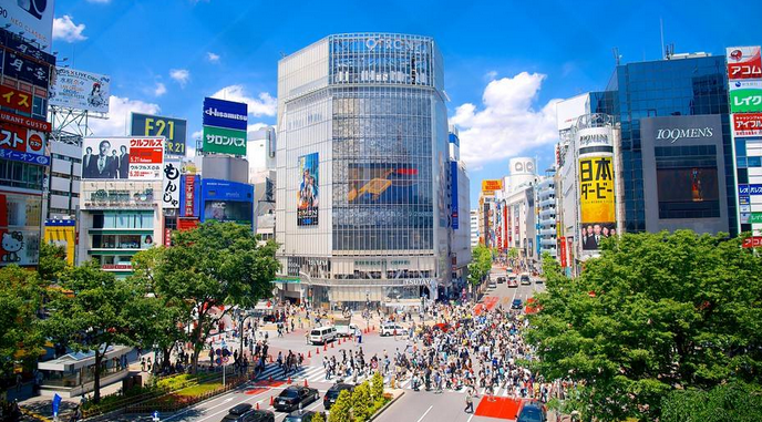 東京、箱根、伊豆半島、東京1天自由行6日